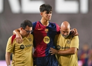 开云体育下载-关于萨索洛遭遇主场失利，危险在望的信息