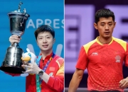 开云体育登录-关于德国乒乓球队强势瑞典乒乓球队，张继科制霸全场的信息