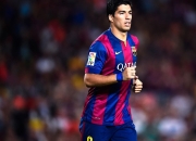 开云体育平台APP-当佩德里在F1揭幕战接管比赛，一场打破次元壁的体育幻想