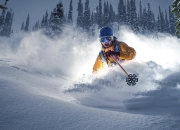 开云体育官网-红蓝心脏的轰鸣，阿劳霍，诺坎普沉默后的唯一回响