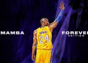 开云官方app入口-当公牛鏖战辽宁队，跨越时空的竞技诗篇与杜兰特的纪录之夜