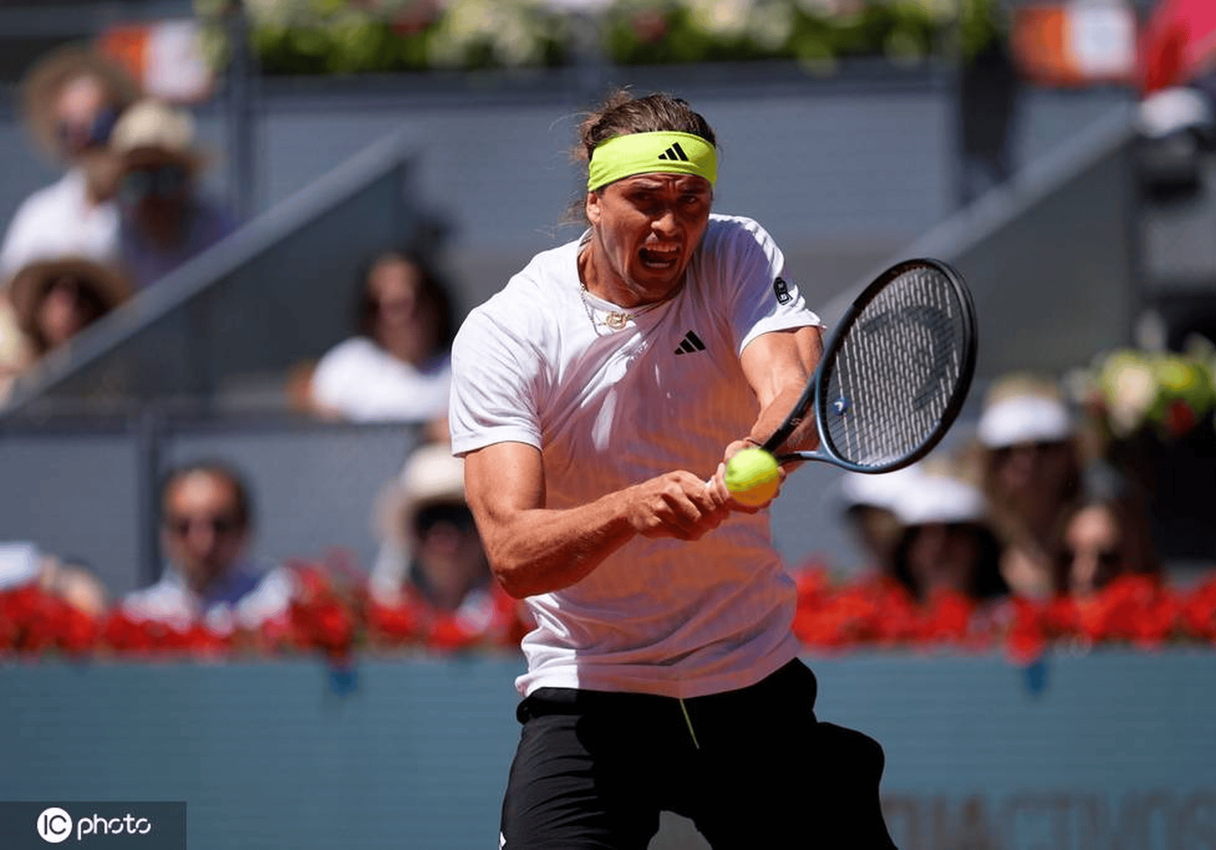 包含日本网球队逆转西班牙网球队,兹维列夫绝境逆转的词条 包含日本网球队逆转西班牙网球队,兹维列夫绝境逆转的词条