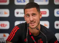 多尔多涅球员接受采访谈论赛季表现