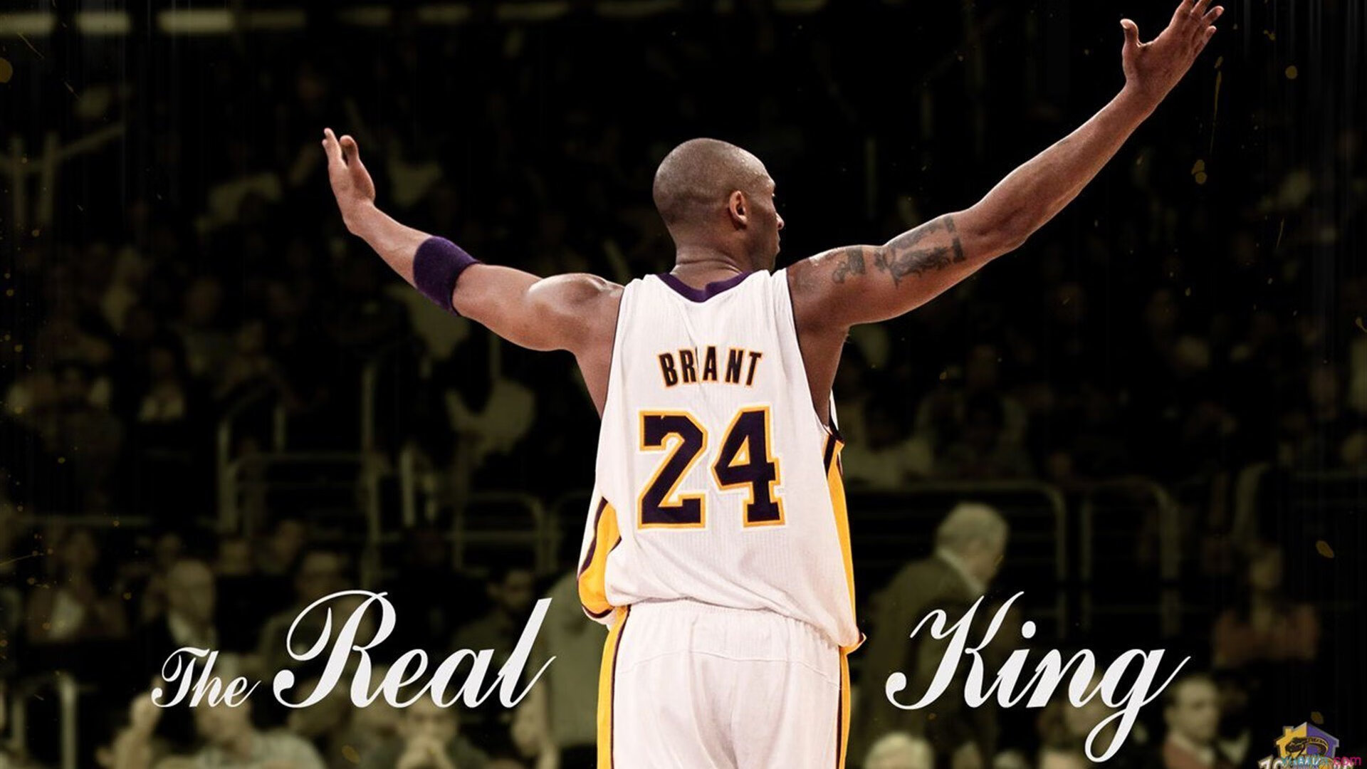 米切尔关键先生本色尽显，开拓者轻取广厦队展现团队韧性